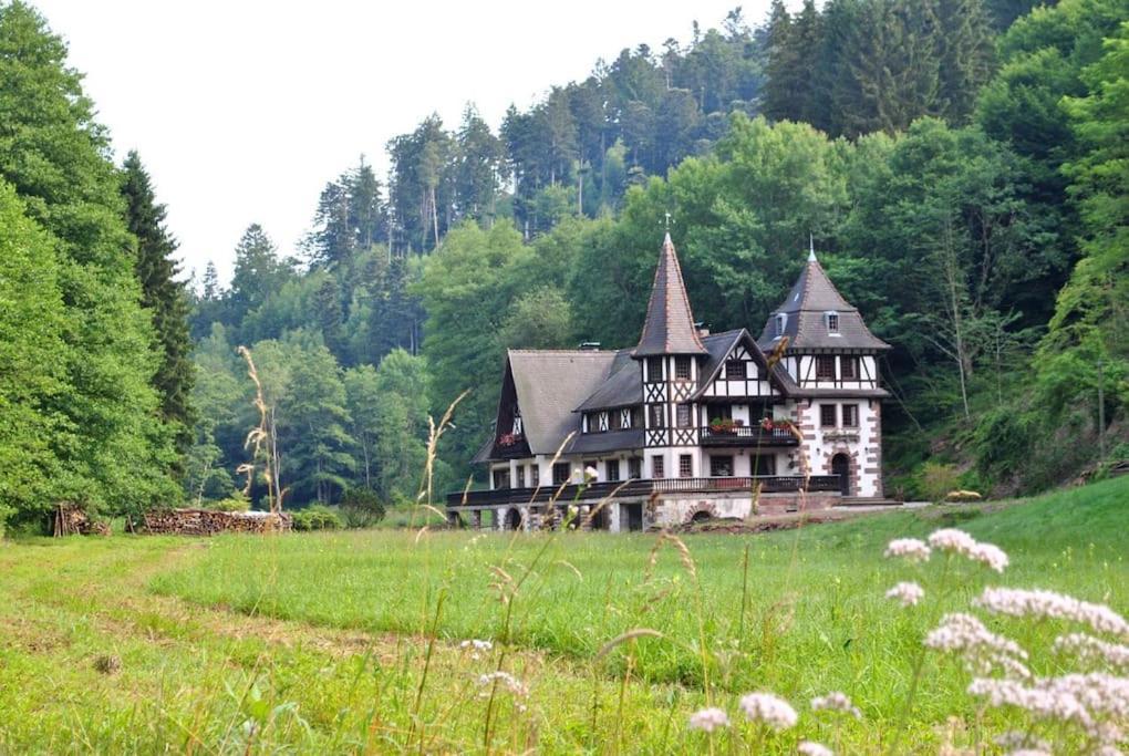 Le Saint Moulin De La Petite Pierre Villa Lohr Dış mekan fotoğraf